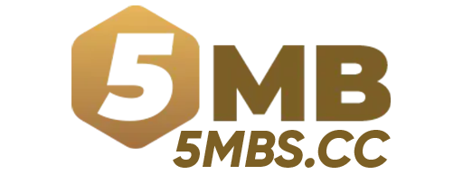 5MB