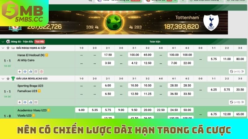 Nên có chiến lược dài hạn trong cá cược