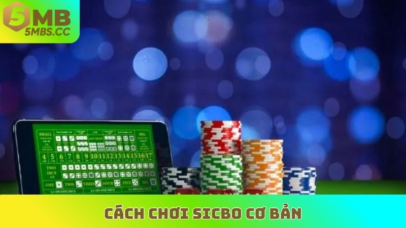 các loại cầu baccarat cơ bản