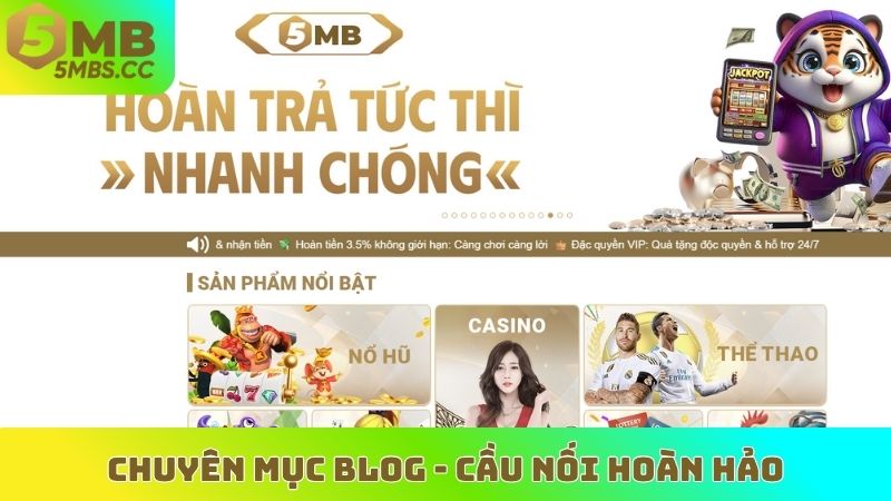 Chuyên mục blog - Cầu nối hoàn hảo