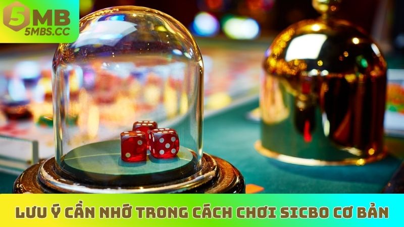 Lưu ý cần nhớ trong cách chơi Sicbo cơ bản