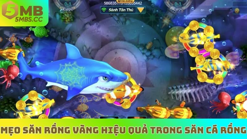 Mẹo săn rồng vàng hiệu quả trong Săn Cá Rồng