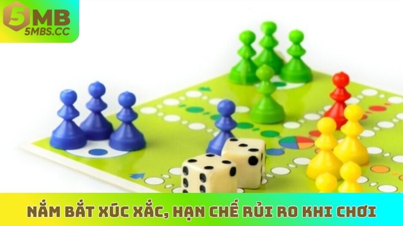 Nắm bắt xúc xắc, hạn chế rủi ro khi chơi