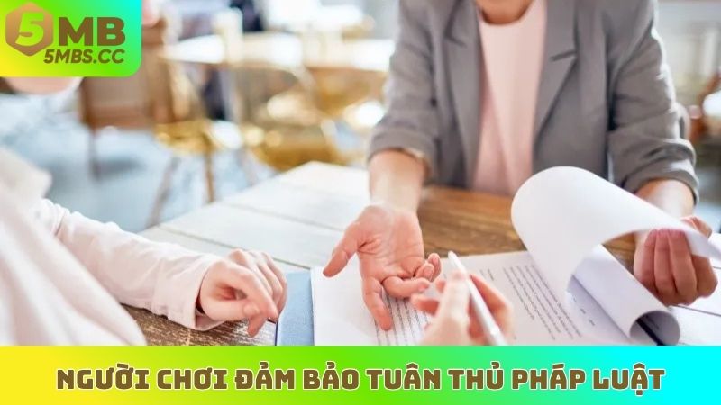 Người chơi đảm bảo tuân thủ pháp luật